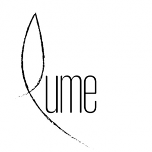 Logo Lume