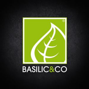 Logo Basilic & Co